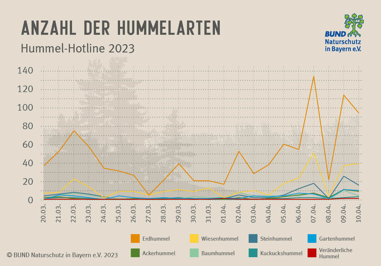 Hummel-Hotline 2023: Das Diagramm zeigt, wie viele Individuen einer Hummelart pro Tag gemeldet wurden. Hummel-Hotline 2023: Das Diagramm zeigt, wie viele Individuen einer Hummelart pro Tag gemeldet wurden. Es sind acht Kurven für die acht am häufigsten gemeldeten Hummelarten zu sehen.