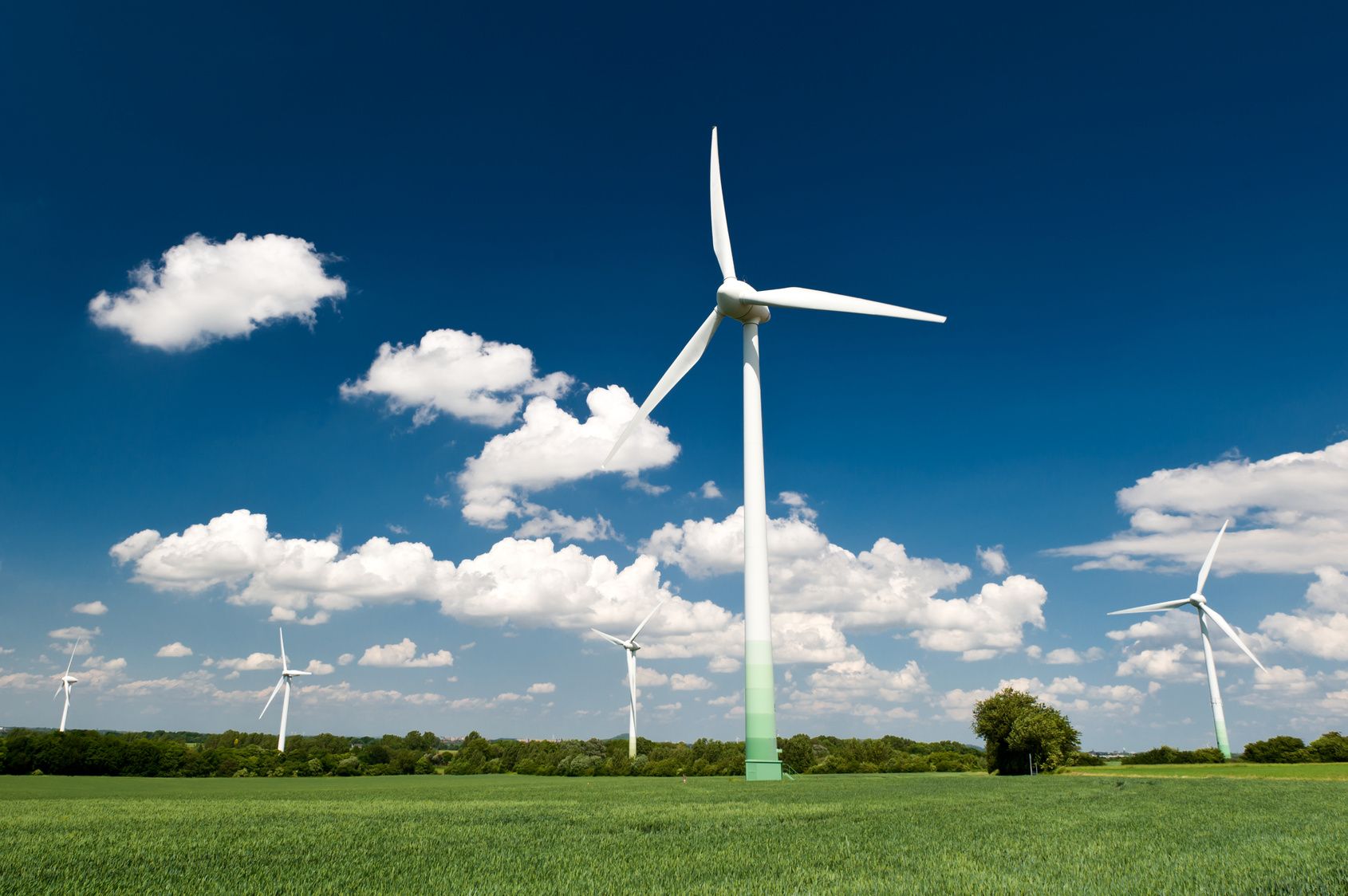 Foto: jotily / AdobeStock