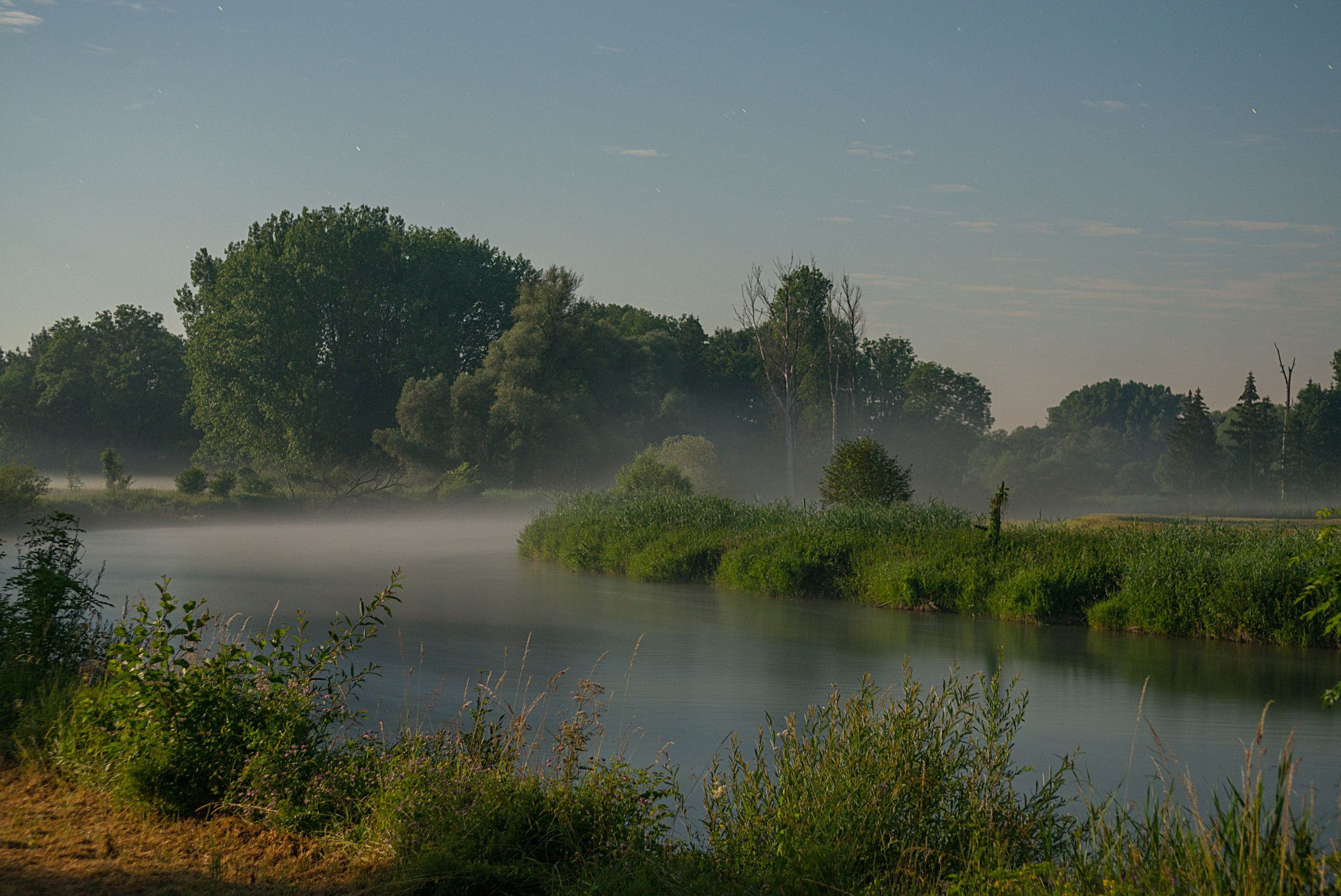 Ein Fluss in einer Biegung, Nebel steigt vom Wasser auf, im Hintergrund ist Wald zu sehen. (Foto: Wolfgang Willner)