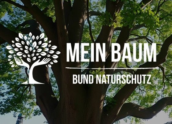 Bild: Mein Baum_AppStore_Teaser von Spotteron
