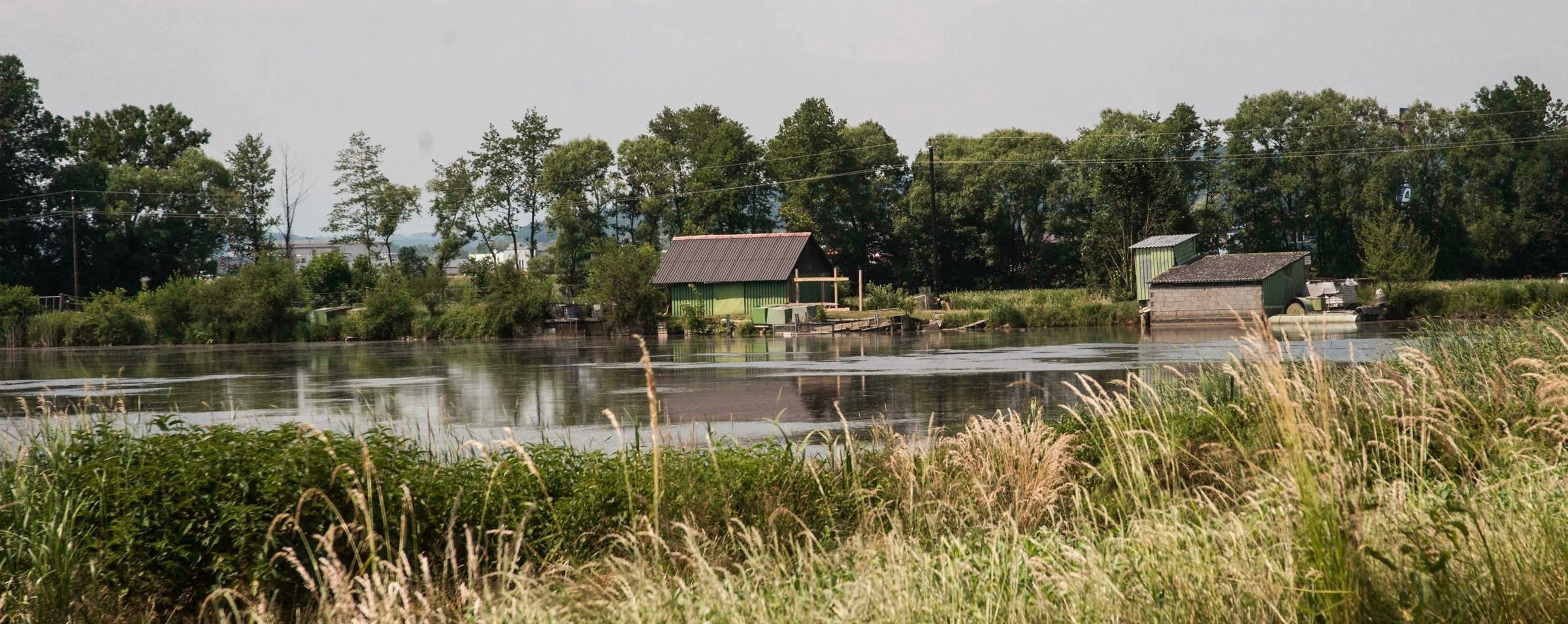 Naturnahe Teichbewirtschaftung (Foto: Elmar Gubisch/stock.adobe.com) Naturnahe Teichwirtschaft wie hier im Bild ist eine der möglichen Ausnahmen des Wassercent Bayern. (Foto: Elmar Gubisch/stock.adobe.com)