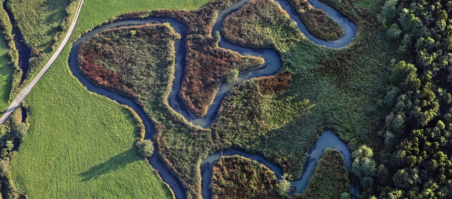 Luftaufnahme der mäandernden Abens bei Siegenburg (Bild: Klaus Leidorf) Luftaufnahme der mäandernden Abens bei Siegenburg: Ein Wassercent könnte Renaturierungsmaßnahmen finanzieren (Bild: Klaus Leidorf)